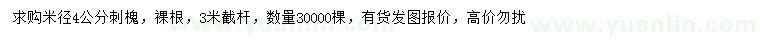 求購米徑4公分刺槐