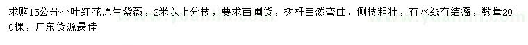 求購15公分小葉紅花紫薇