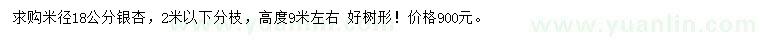 求購(gòu)米徑18公分銀杏