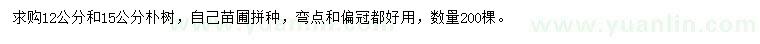 求購12、15公分樸樹