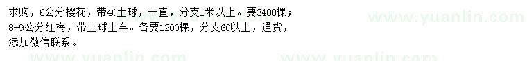 求購(gòu)6公分櫻花、8-9公分紅梅