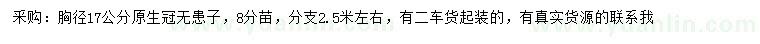 求購(gòu)胸徑17公分無(wú)患子