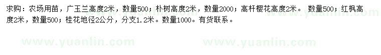 求購廣玉蘭、樸樹、高桿櫻花等