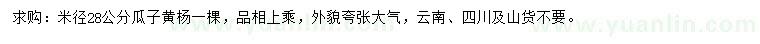 求購(gòu)米徑28公分瓜子黃楊