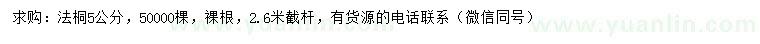 求購5公分法桐