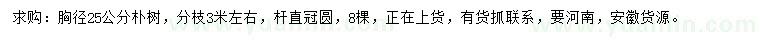 求購胸徑25公分樸樹