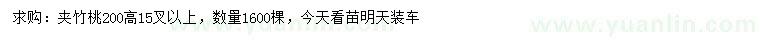 求購高200公分夾竹桃