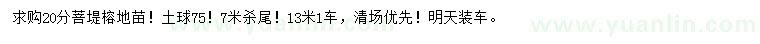 求購20公分菩堤榕