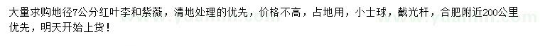 求購地徑7公分紅葉李、紫薇