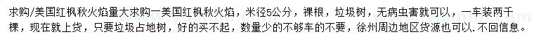 求購米徑5公分美國紅楓秋火焰