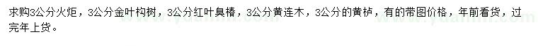 求購火炬、金葉構(gòu)樹、紅葉臭椿等