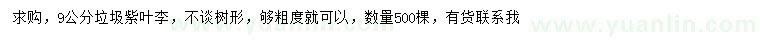 求購(gòu)9公分紫葉李
