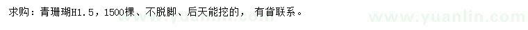 求購高1.5米青珊瑚