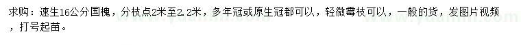求購16公分速生國槐