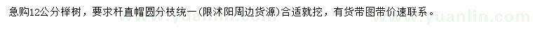 求購12公分櫸樹