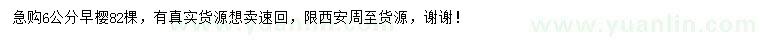 求購6公分早櫻
