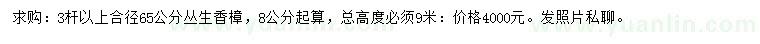 求購(gòu)高9米叢生香樟