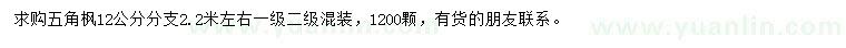求購12公分五角楓