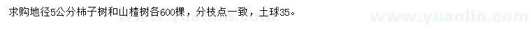 求購地徑5公分柿子樹、山楂樹