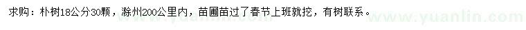 求購18公分樸樹