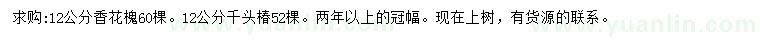 求購12公分香花槐、香花槐