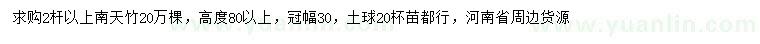 求購高80公分以上南天竹