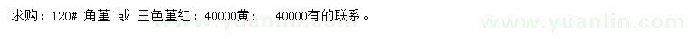 求購角堇、三色堇紅