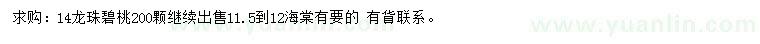 求購(gòu)14公分龍珠碧桃、11.5-12公分海棠