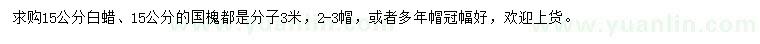 求購(gòu)15公分白蠟、國(guó)槐