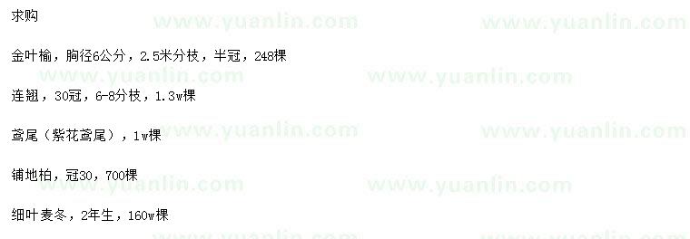 求購(gòu)金葉榆、連翹、鳶尾等