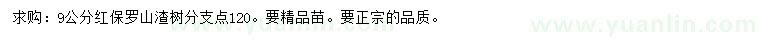 求購9公分紅保羅山楂樹