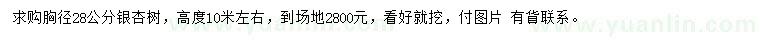 求購(gòu)胸徑28公分銀杏