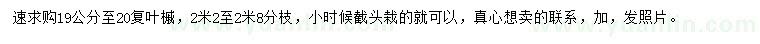 求購(gòu)19-20公分復(fù)葉槭