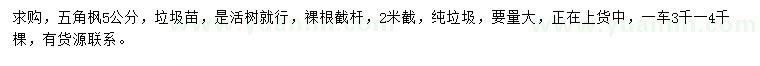 求購5公分五角楓