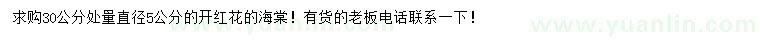 求購30量5公分海棠
