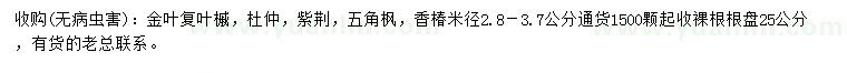 求購金葉復(fù)葉槭、杜仲、紫荊等