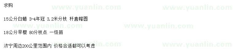 求購(gòu)15公分白蠟、18公分早櫻