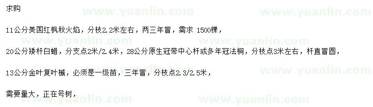 求購(gòu)美國(guó)紅楓秋火焰、白蠟、金葉復(fù)葉槭