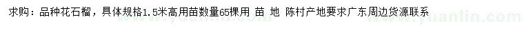 求購高1.5米花石榴