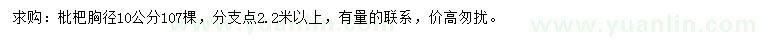 求購胸徑10公分枇杷