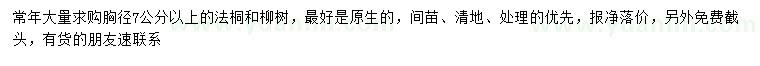 求購胸徑7公分以上法桐、柳樹