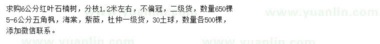 求購(gòu)紅葉石楠、五角楓、海棠等