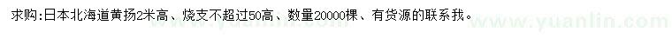 求購高2米日本北海道黃楊