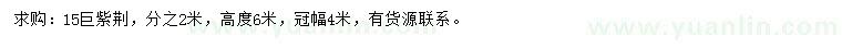 求購(gòu)15公分巨紫荊