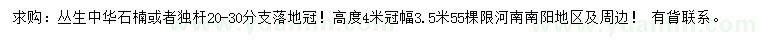 求購(gòu)高4米叢生中華石楠