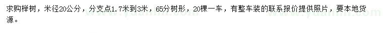 求購米徑20公分櫸樹
