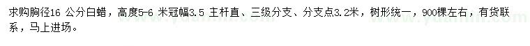 求購胸徑16公分白蠟