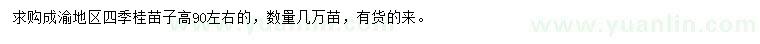 求購高90公分左右四季桂