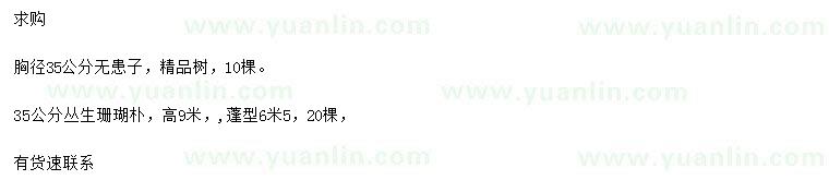 求購胸徑35公分無患子、35公分叢生珊瑚樸
