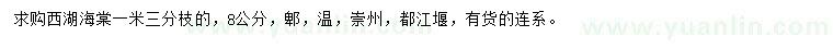 求購8公分西府海棠